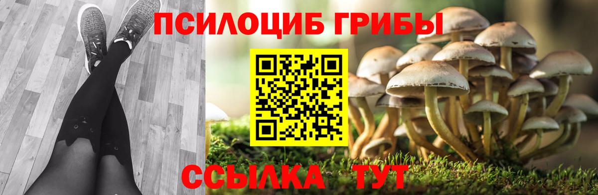 Полевской  Псилоцибиновые грибы GOLDEN TEACHER  Галлюциногенные грибы мицелий  Вход с VPN 